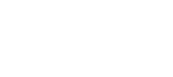 Divine Auto Pros